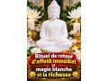 retour-amoureux-immediat-magie-blanche-sans-consequence-22960663782-whatsapp-small-0