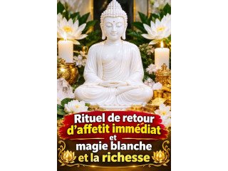 Retour amoureux immédiat Magie blanche sans conséquence +22960663782 WhatsApp